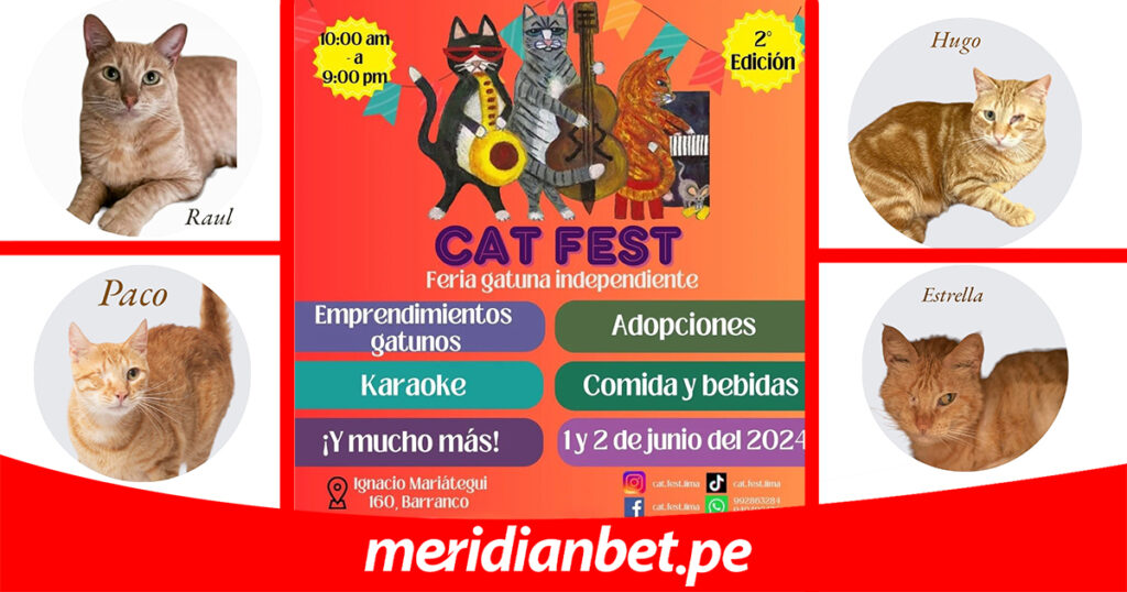 Meridianbet Cat Fest