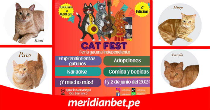 MERIDIANBET_DONACIONES_CATFEST_2024
