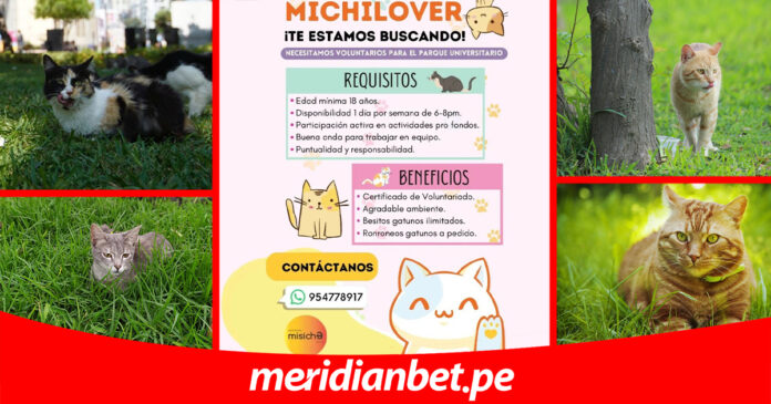 PLANTILLA-DONACIONES_MERIDIANBET_MISICHA_2024