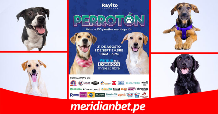 PLANTILLA-DONACIONES_PERROTON_2024-MERIDIANBET