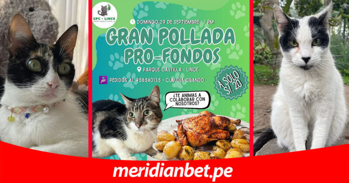 Meridianbet te invita a colaborar con la gran pollada pro fondos de GPC Lince