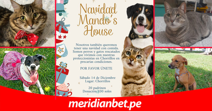Meridianbet Mando's House Meridianbet Mando's House